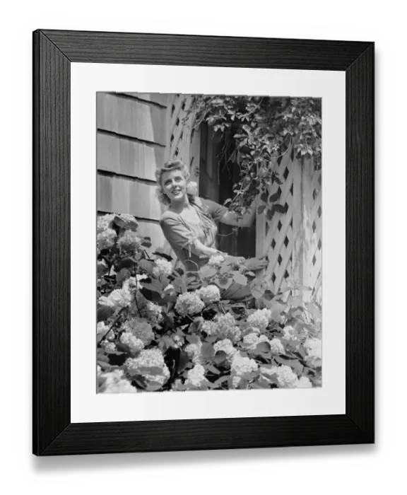 Framed Print : Woman outside of home, near hydrangea bush Framed Print : Woman outside of home, near hydrangea bush