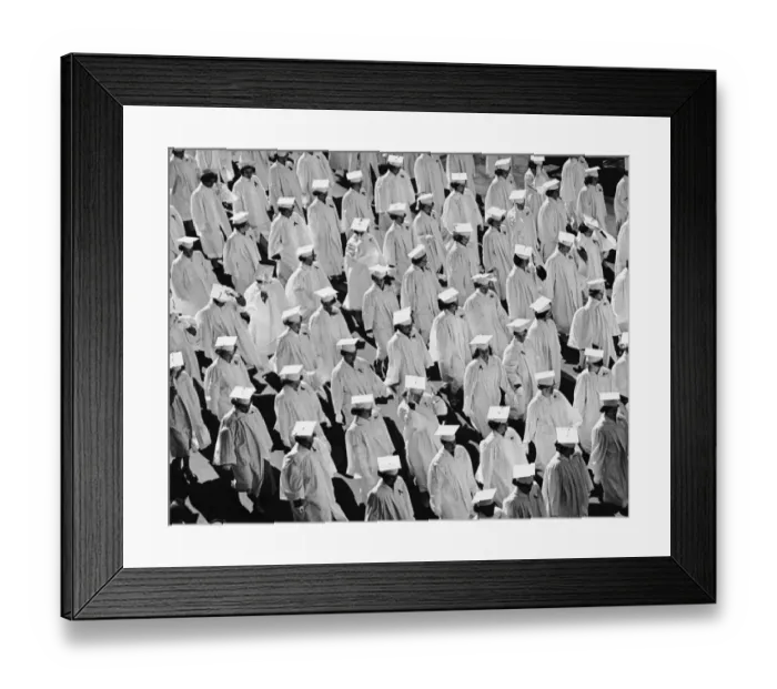 Framed Print : Graduates in caps & gowns Framed Print : Graduates in caps & gowns