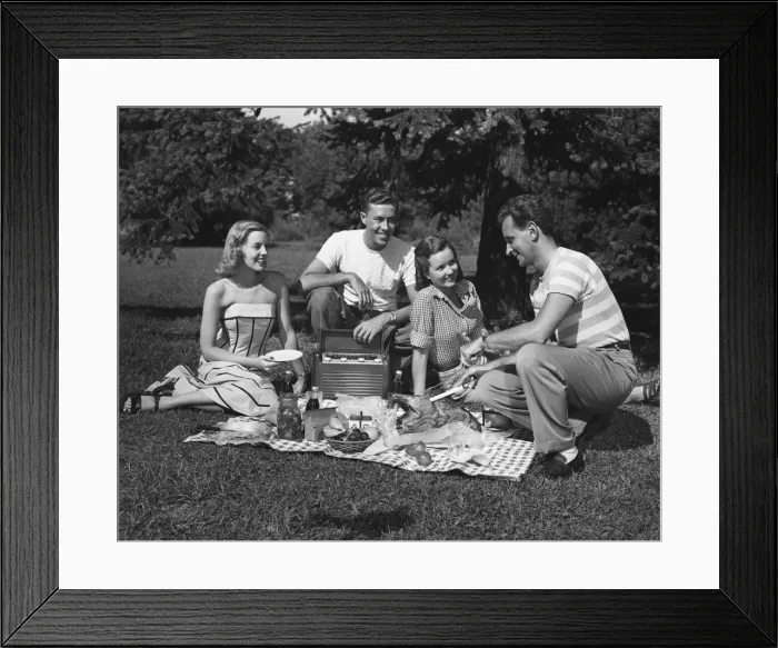Framed Print : Two couples having a picnic Framed Print : Two couples having a picnic