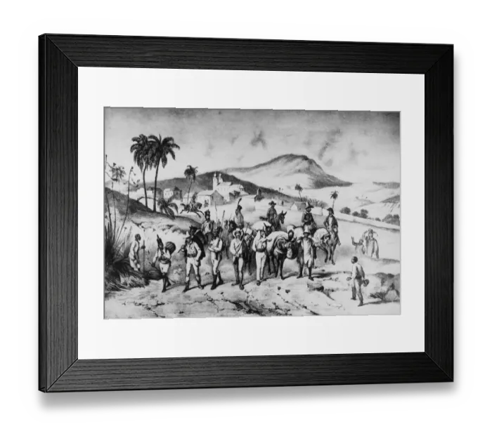 Framed Print : black and white, diry 18939, 3L 2109, J1698816, J169881602, soldier, mule, horse Framed Print : black and white, diry 18939, 3L 2109, J1698816, J169881602, soldier, mule, horse
