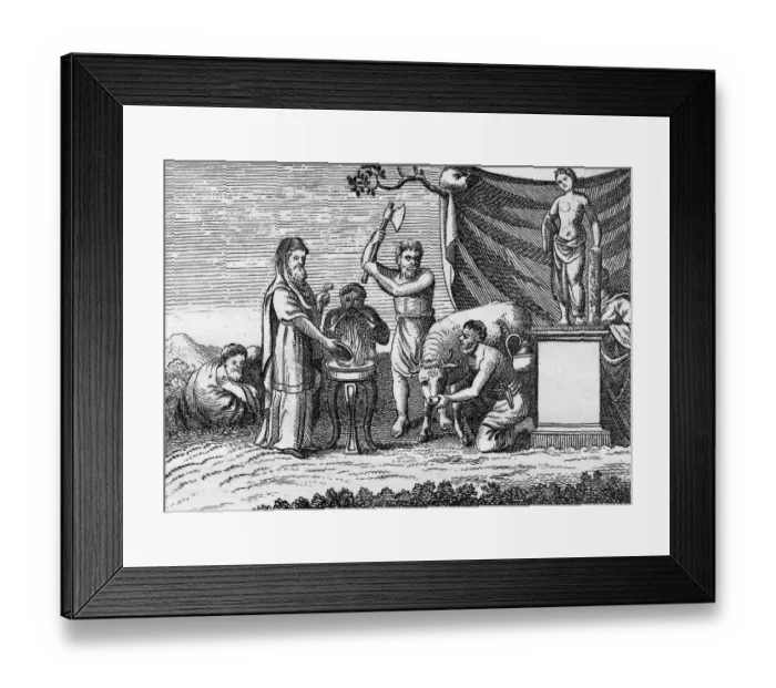 Framed Print : black and white, diry 18880, J1697529, sacrifice, H / CUL / EURO / GREEK & ROMAN / RELIGIOUS OFFERINGS Framed Print : black and white, diry 18880, J1697529, sacrifice, H / CUL / EURO / GREEK & ROMAN / RELIGIOUS OFFERINGS