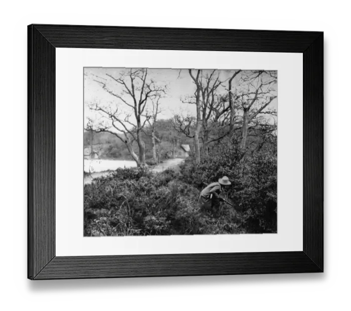 Framed Print : Black and White, diry 18528, J1683388, outdoors, day, rural, H SPO / HUNT / GAMEKEEPERS Framed Print : Black and White, diry 18528, J1683388, outdoors, day, rural, H SPO / HUNT / GAMEKEEPERS
