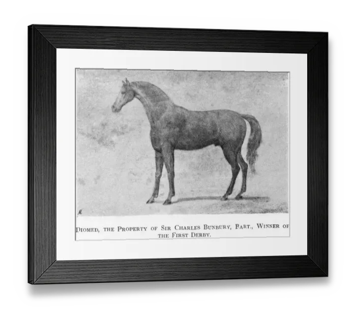 Framed Print : Derby Winner Diomed Framed Print : Derby Winner Diomed