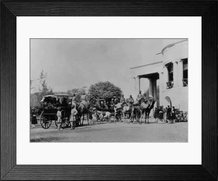 Framed Print : A Camel Cart Framed Print : A Camel Cart