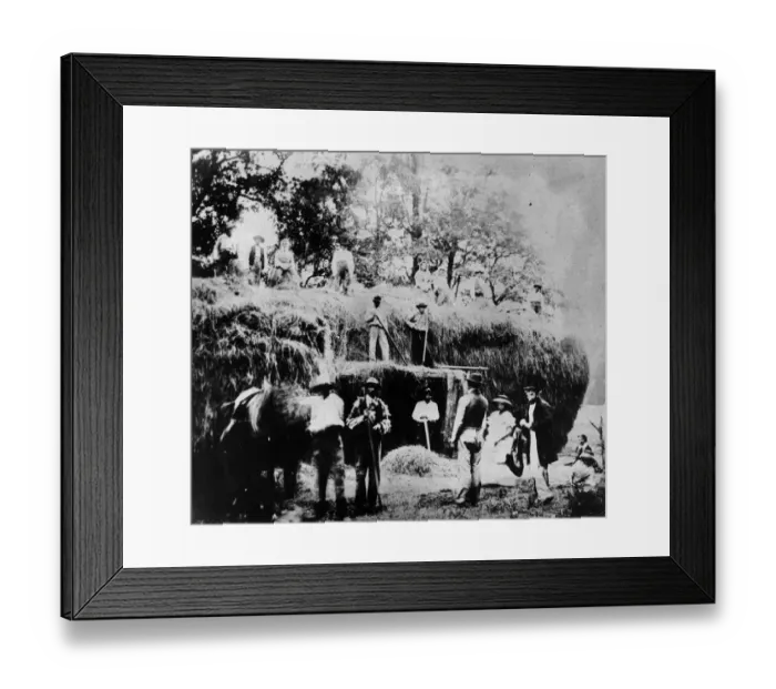 Framed Print : Making Hay Framed Print : Making Hay