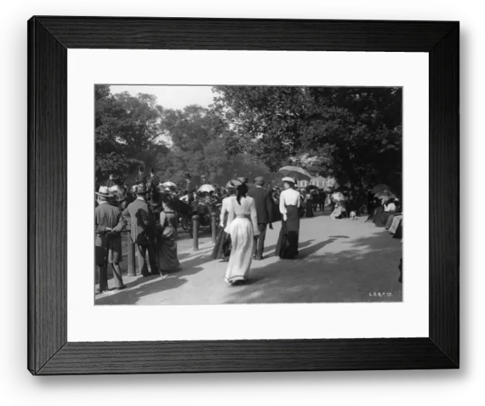 Framed Print : Walking In The Row Framed Print : Walking In The Row