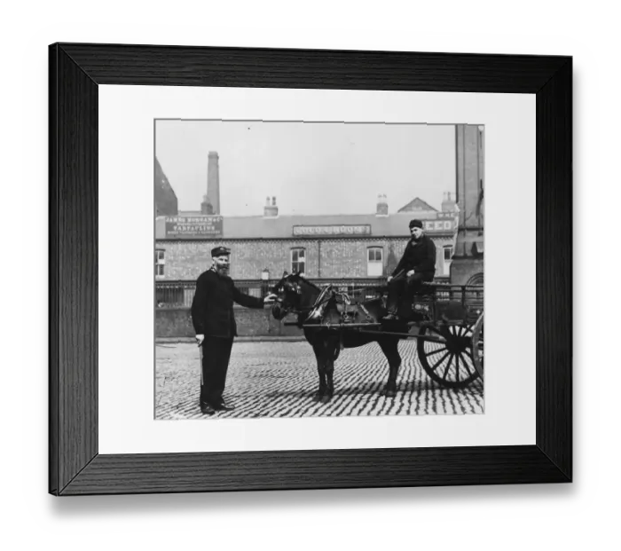 Framed Print : Horse Inspection Framed Print : Horse Inspection