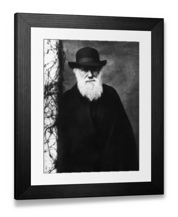 Framed Print : Charles Darwin Framed Print : Charles Darwin
