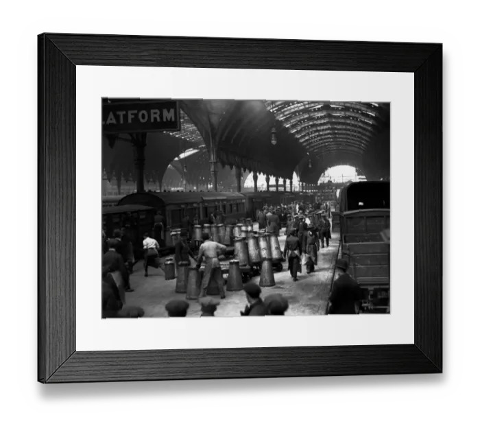 Framed Print : Milk Supply Framed Print : Milk Supply