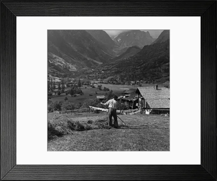 Framed Print : Hay Harvesting In Switzerland