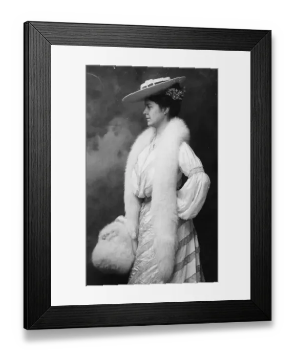 Framed Print : Fur Accessories Framed Print : Fur Accessories