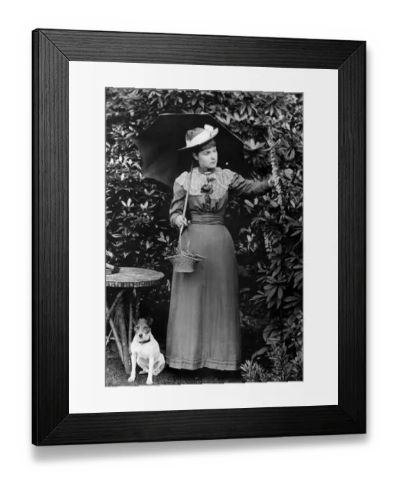 Framed Print : Day Dress. 1908: A simple day dress, with a lace collar Framed Print : Day Dress. 1908: A simple day dress, with a lace collar