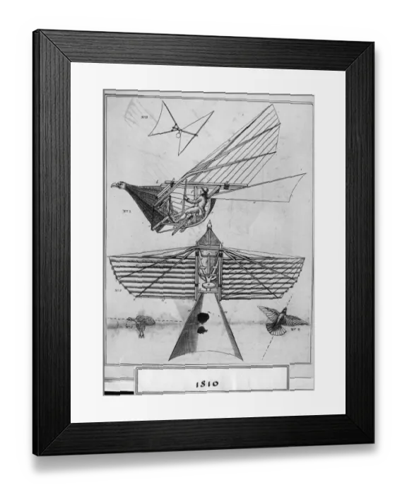 Framed Print : Flapping Design