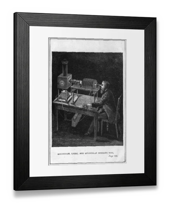Framed Print : Animal Magnetism Framed Print : Animal Magnetism