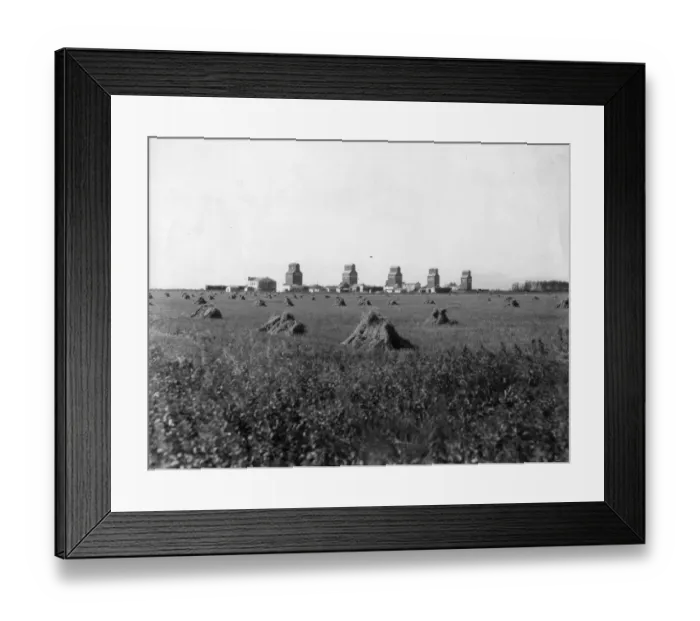 Framed Print : Harvest Time