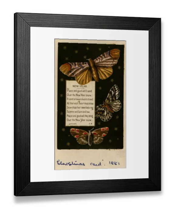 Framed Print : New Years Card Framed Print : New Years Card