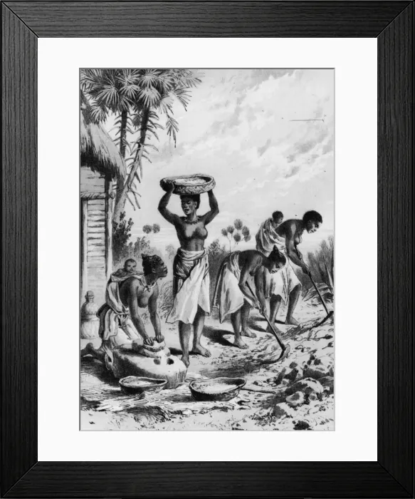 Framed Print : Native Farmers Framed Print : Native Farmers