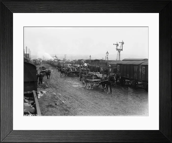 Framed Print : Trains At Cider Works Framed Print : Trains At Cider Works