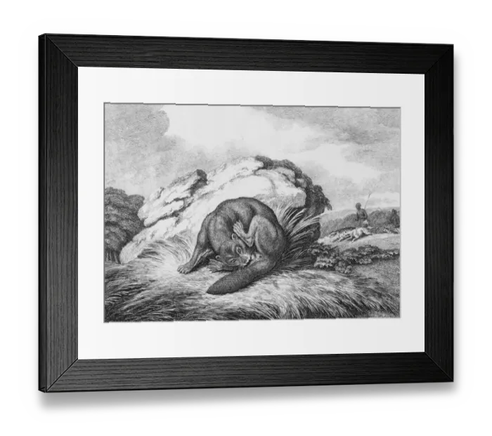 Framed Print : Hunted Beaver Framed Print : Hunted Beaver