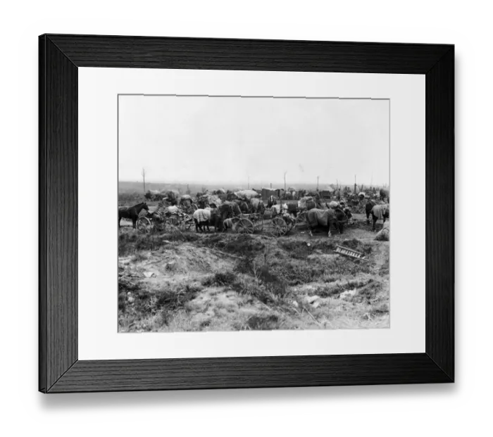Framed Print : Horses On Battlefield Framed Print : Horses On Battlefield
