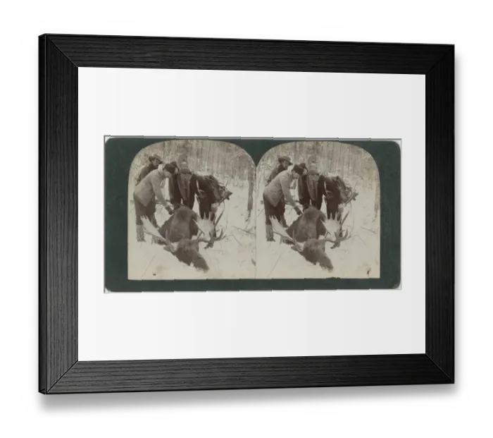 Framed Print : Hunters With Moose Framed Print : Hunters With Moose