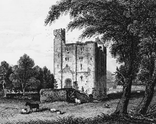 Hedingham Castle