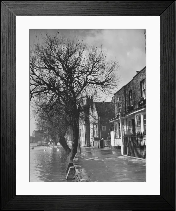 Framed Print : Strand-On-The-Green Framed Print : Strand-On-The-Green