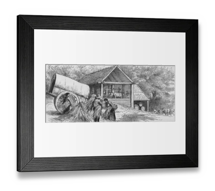 Framed Print : Brazilian Sugar Mill Framed Print : Brazilian Sugar Mill
