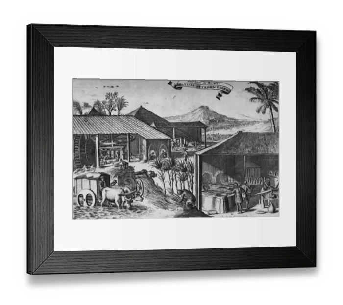 Framed Print : Brazilian Sugar Factory