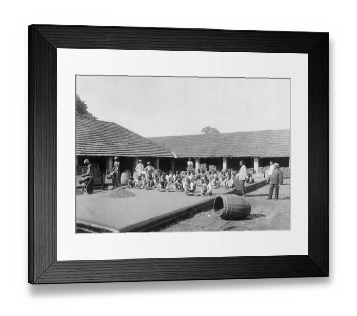 Framed Print : Sri Lanka Graphite Mine Framed Print : Sri Lanka Graphite Mine