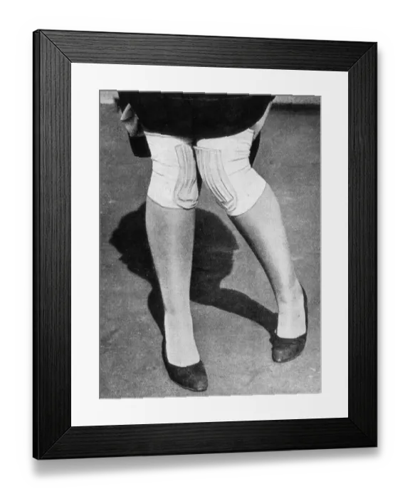 Framed Print : Charleston Protection