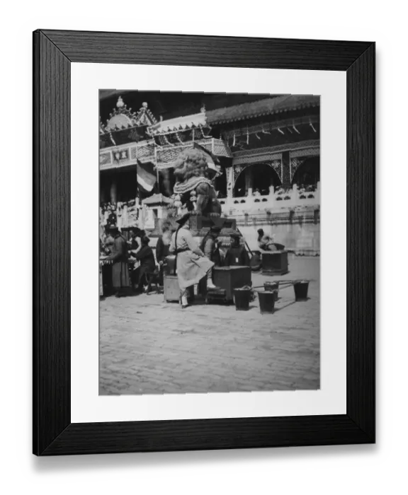 Framed Print : Peking Lion Framed Print : Peking Lion
