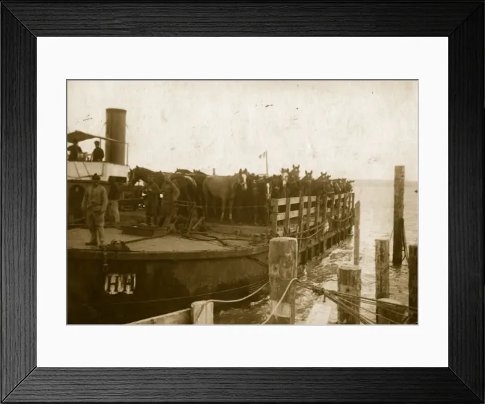 Framed Print : Horse Boat Framed Print : Horse Boat
