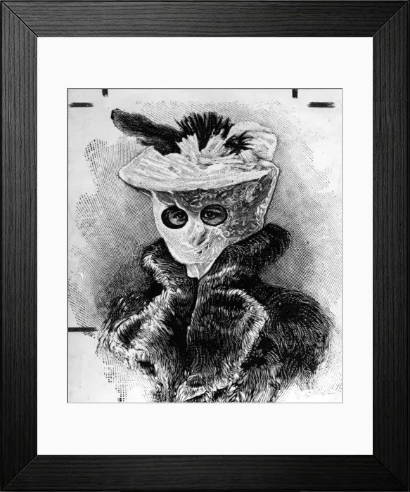 Framed Print : Motoring Veil Framed Print : Motoring Veil