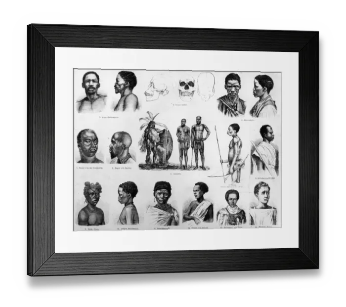 Framed Print : Racial Study Framed Print : Racial Study