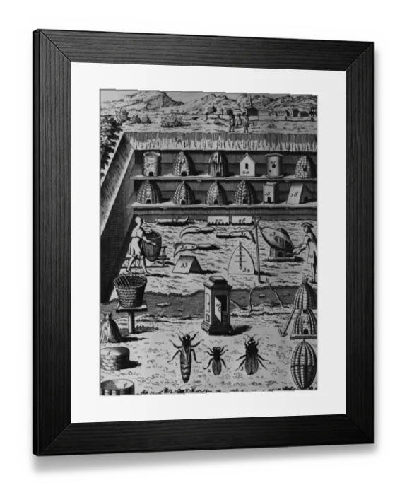 Framed Print : Apiary Equipment Framed Print : Apiary Equipment