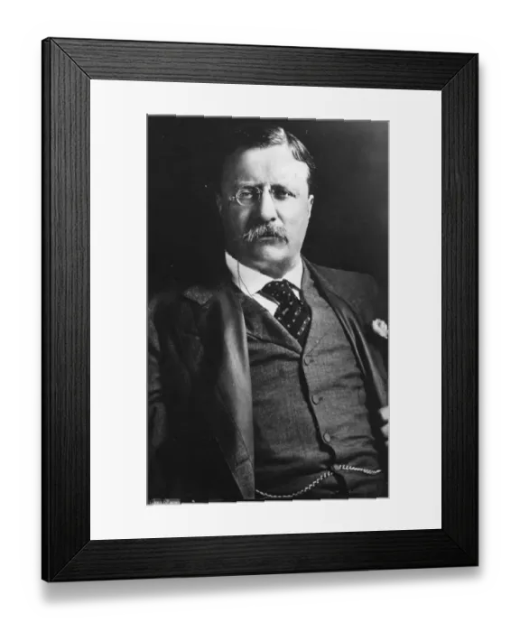 Framed Print : Theodore Roosevelt Framed Print : Theodore Roosevelt