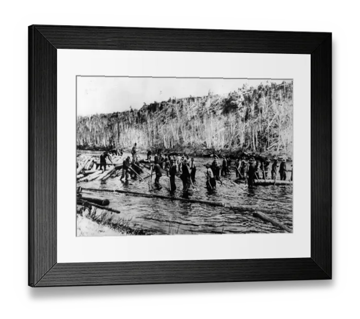 Framed Print : Timber Trade Framed Print : Timber Trade