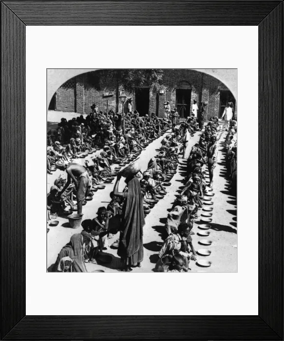 Framed Print : Feeding Starving Framed Print : Feeding Starving