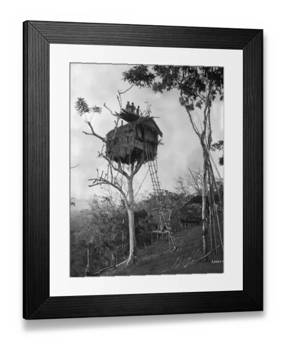 Framed Print : Tree Dwelling Framed Print : Tree Dwelling