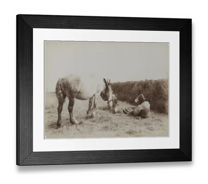 Framed Print : Country Companions Framed Print : Country Companions