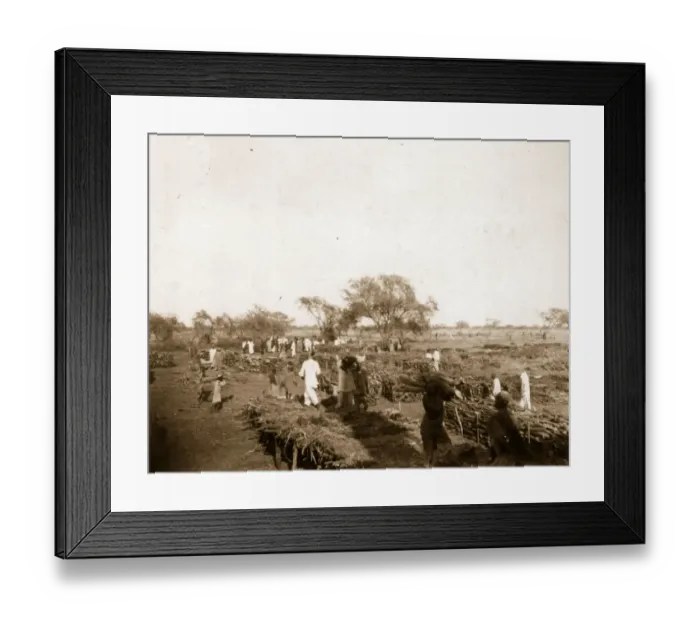 Framed Print : Wooding Station Framed Print : Wooding Station