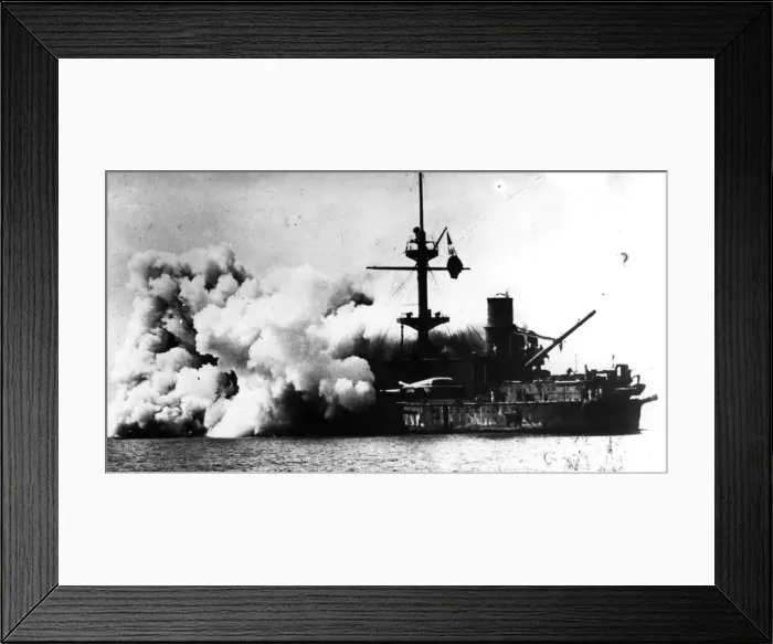 Framed Print : Italian Dreadnought Framed Print : Italian Dreadnought