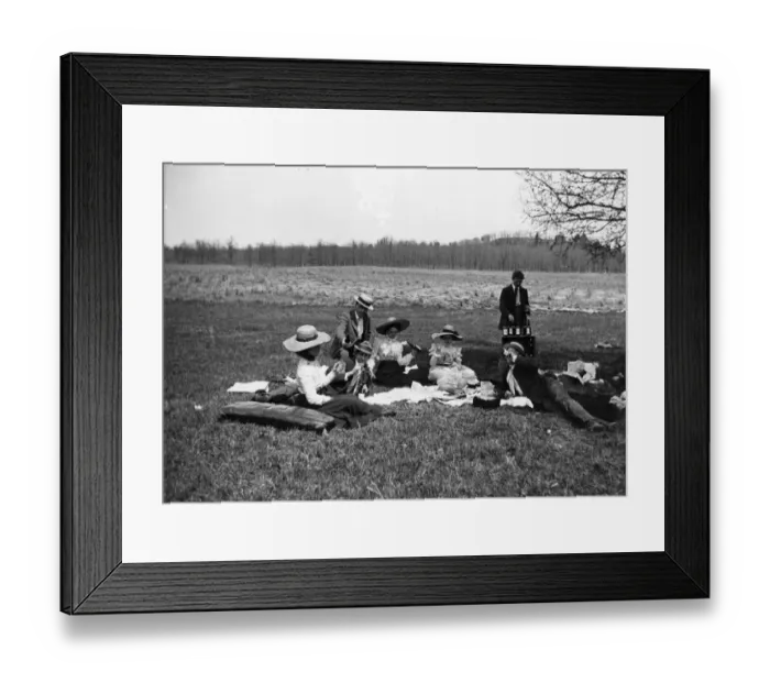 Framed Print : Elegant Picnic Framed Print : Elegant Picnic