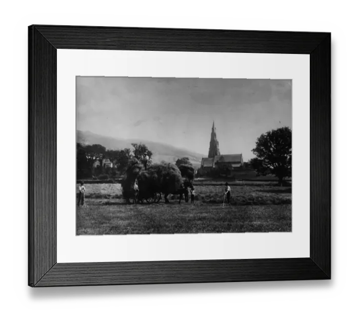 Framed Print : Hay Making Framed Print : Hay Making