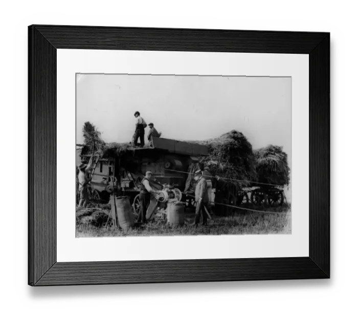 Framed Print : Harvest Threshing Framed Print : Harvest Threshing