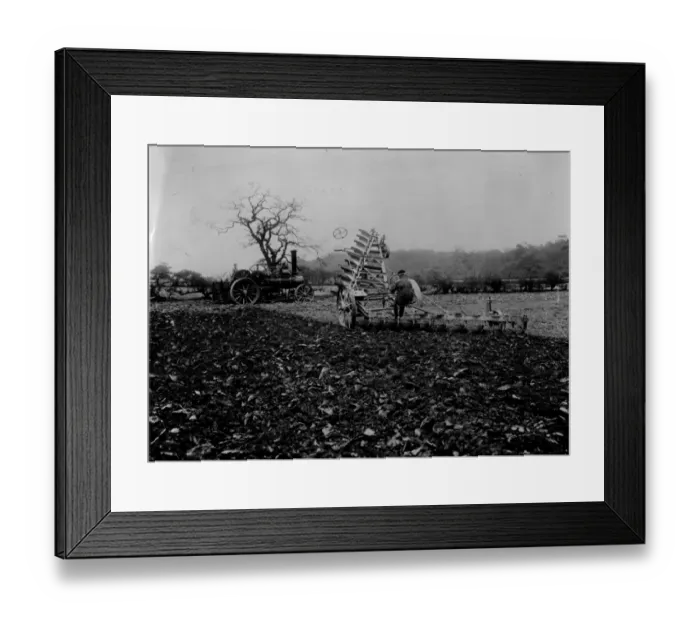 Framed Print : Ploughing Fields Framed Print : Ploughing Fields
