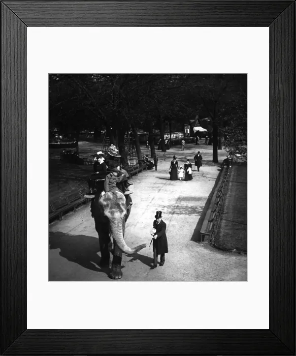 Framed Print : Elephant Ride Framed Print : Elephant Ride