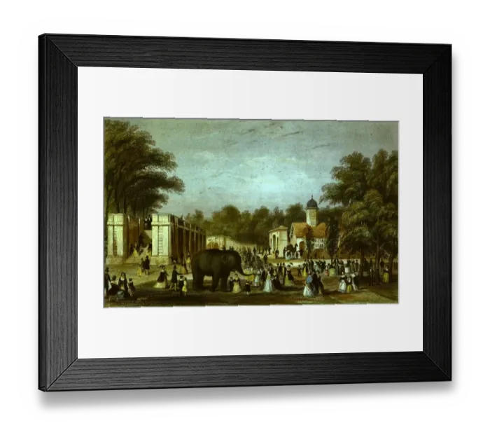 Framed Print : London Zoo Framed Print : London Zoo
