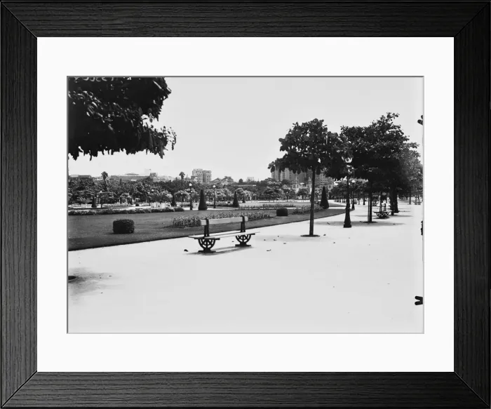 Framed Print : Park In Rio Framed Print : Park In Rio